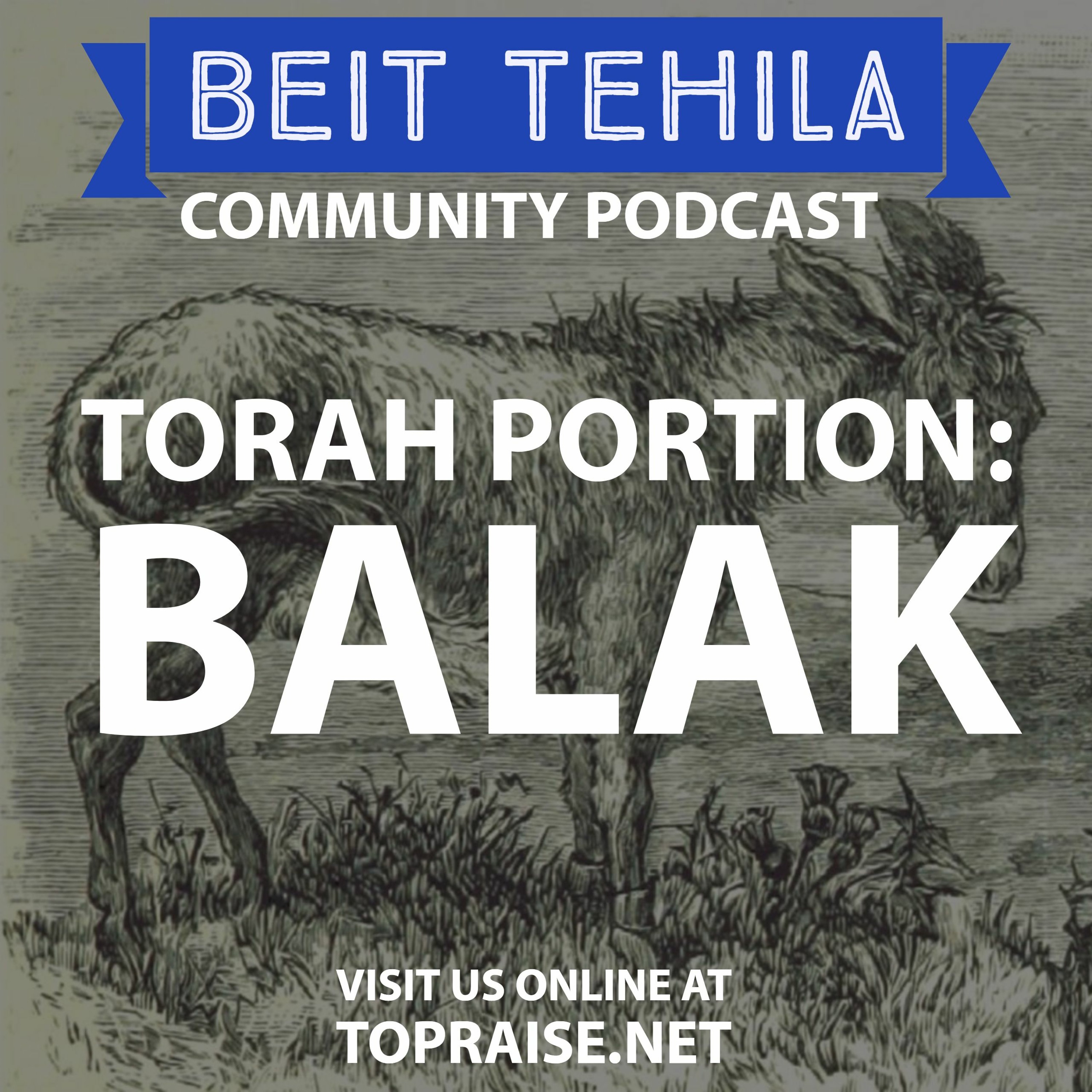 Christian\'s with Torah - The BeitTehila Podcast | Pastor Nick Plummer & Ryan Cabrera