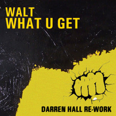 Walt - What You Get (Darren Hall Rework) (FREE DOWNLOAD)