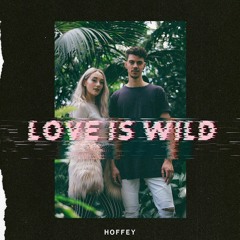 HOFFEY - Love Is Wild