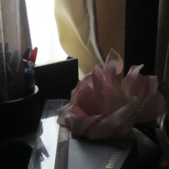 De Dag Daagt | The Day Dawns [organ]