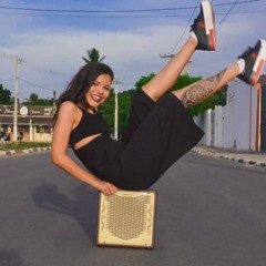 Flydown - MegaSet 2019