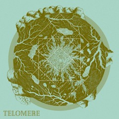 Synthetic Society (from LF104MP3, 'Telomere')