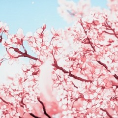 front seat (prod. Shigaraki)