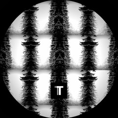 Croft - Multipuzzle [TAR04]