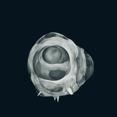 Empty