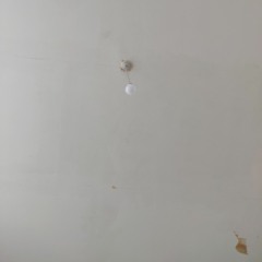 Song For Your Home Demo