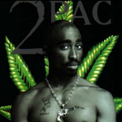 2Pac – Fuck The Illuminati (ft. Layzie Bone)  Chop  Tru Exclusive