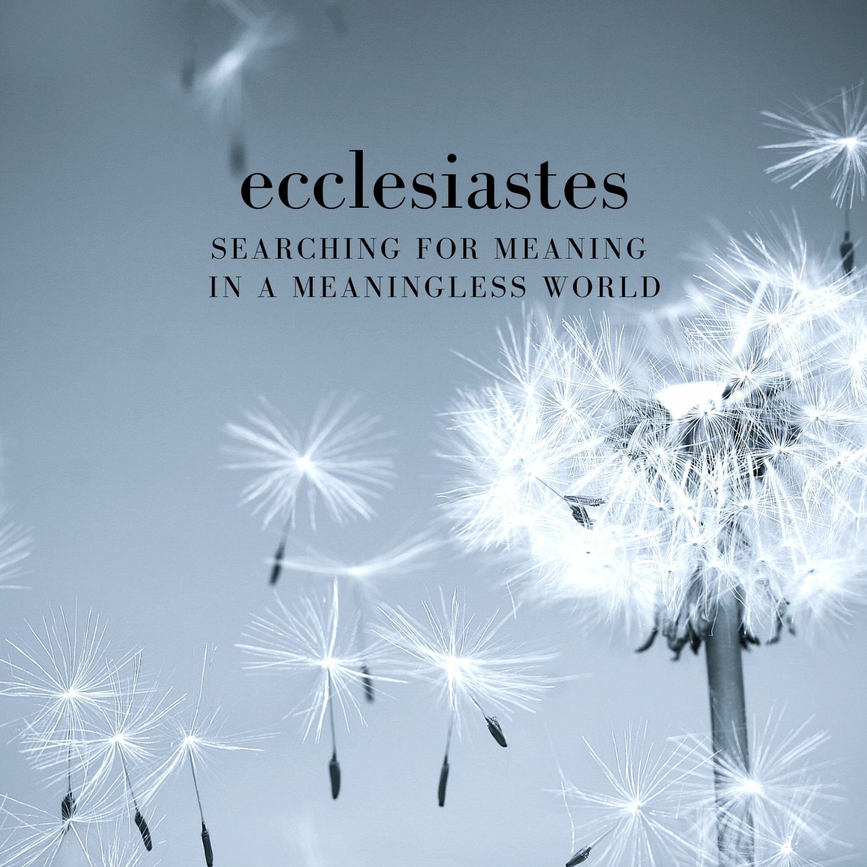 Ecclesiastes 4: False Transcendence episode artwork