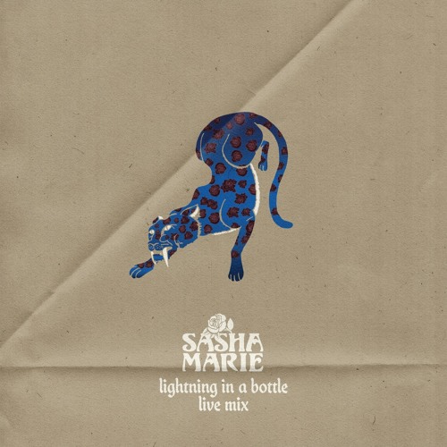 Sasha Marie live at Lightning in a Bottle.