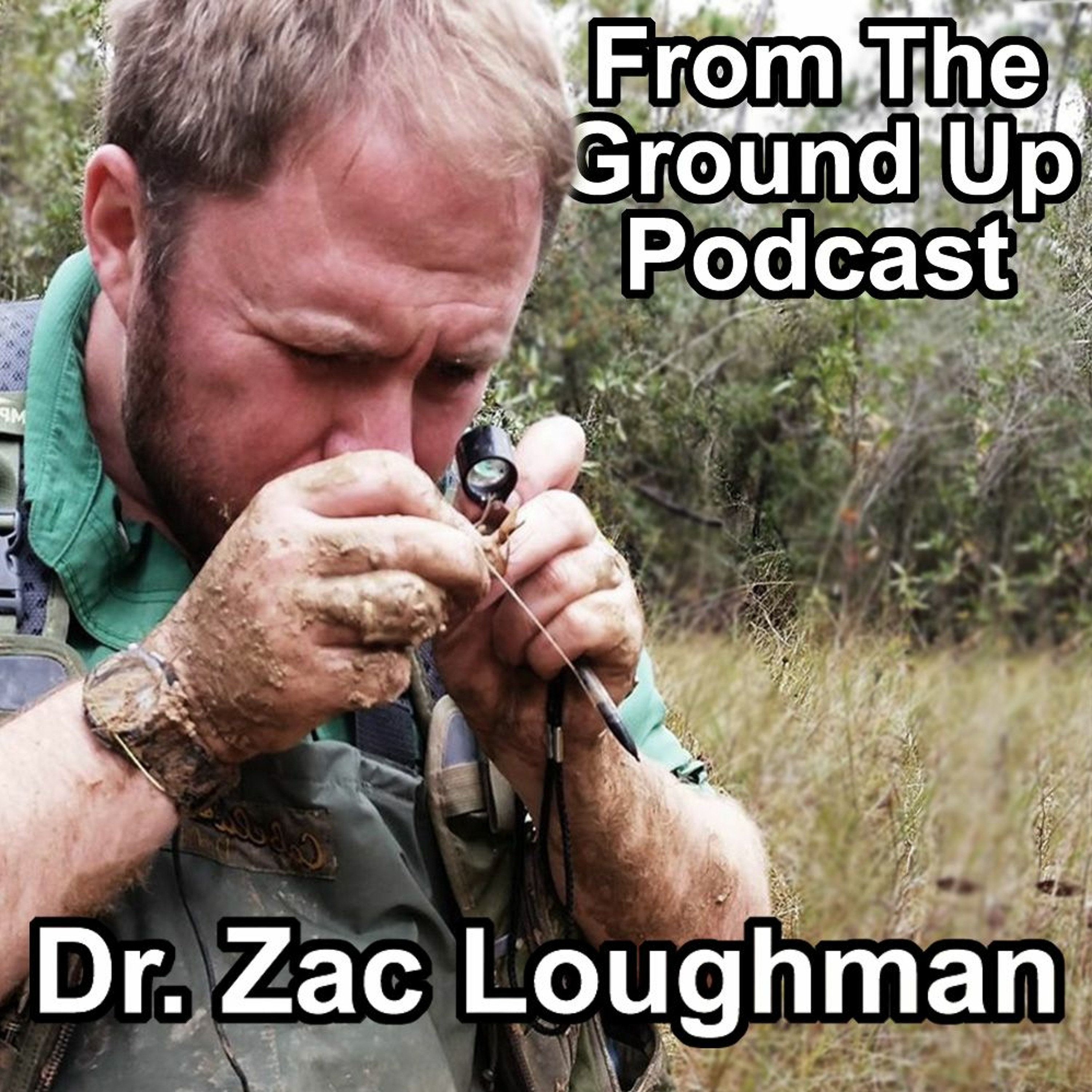 Reptile Husbandry W/ Dr. Zac Loughman