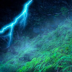 Tropical Thunderstorm With Rain Sounds White Noise (75 Minutes)