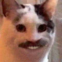 Shit