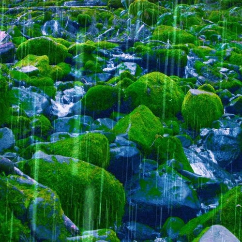 Rain Sounds + Stream For Sleep, Focus, Studying (75 Minutes)