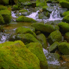 Mountain Stream Water Sounds White Noise For Sleep, Focus, Studying (75 Minutes)