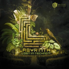 Waveback feat. Yokobus - The Good Life • Preview • Labyrinth, Lost In Techno 02 (VA)