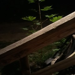 Let's Go (2nd version Demo Re-upload)