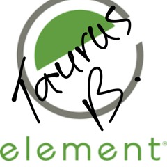 Taurus Bones - Staying In Element