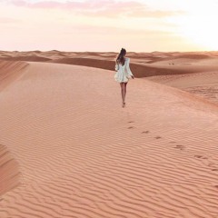 Enis Dorlevi - One Day (Burak Gurel Remix)