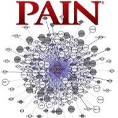 Pain ft. MasterHook x Swizzle x Nugget