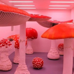 Oriole - Potatoes Kingdom