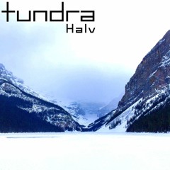 【#TAKUMI_cubic】Halv - tundra