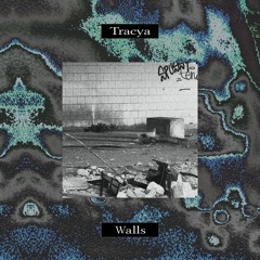 Tracya - Void