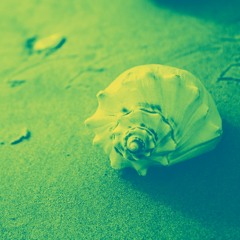 Mikon "Shell" *On Aitbit*