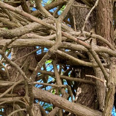 Degrees Of Uncertainty