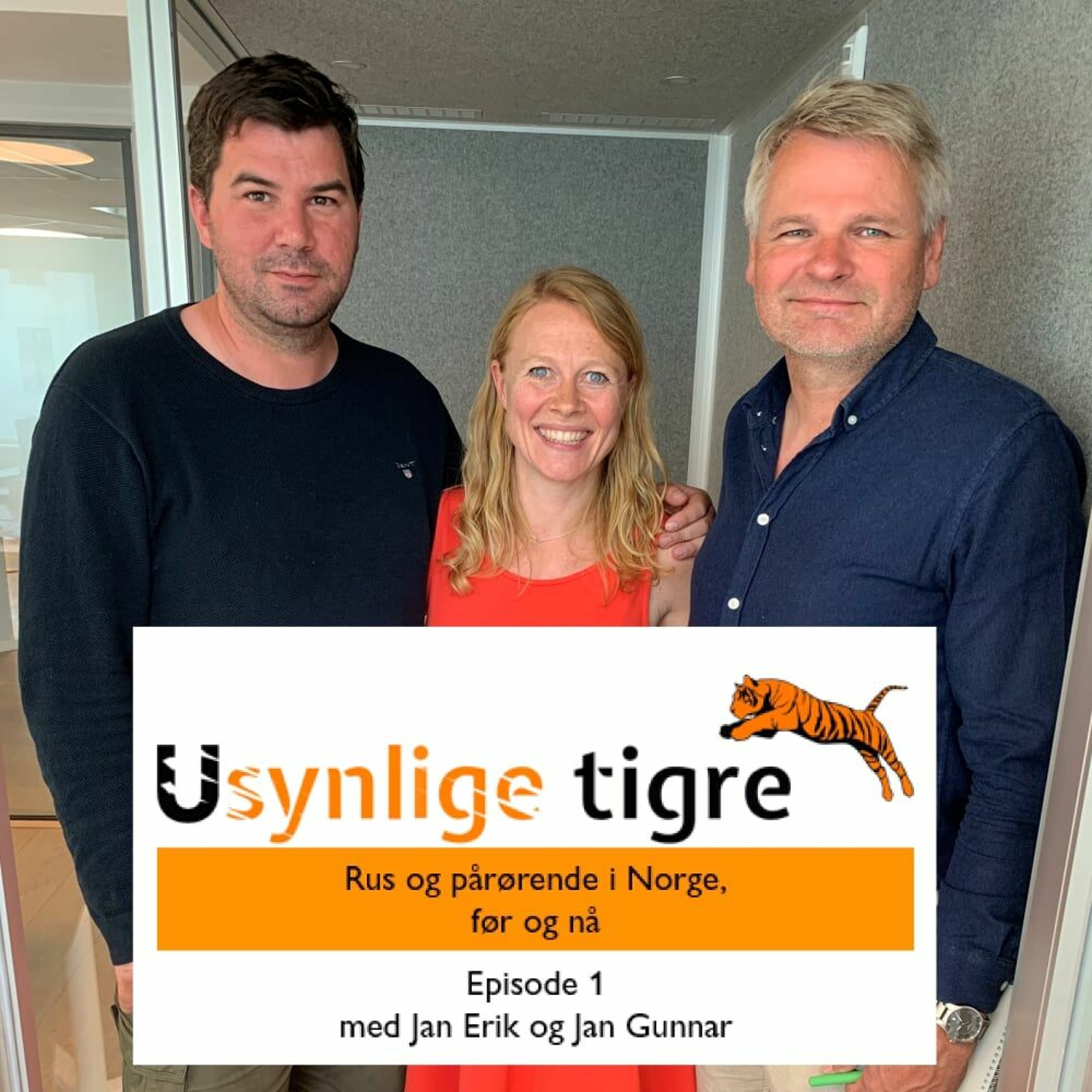 Usynlige tigre-podden