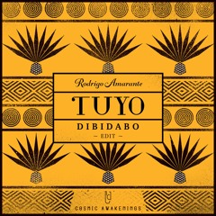 Rodrigo Amarante - Tuyo (DIBIDABO Edit)