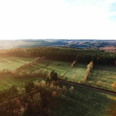 Senses (feat Nannette)