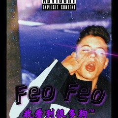 FEO FEO ( Prod. Dfboyzinc)