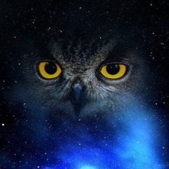 Expressions Album - Bye Bye Baby