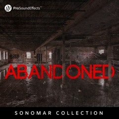 Sonomar Collection: Abandoned Asylum - Demo