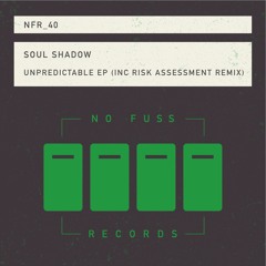 Soul Shadow "Times Have Changed" Risk Assessment Remix