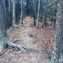 I Follow Rivers