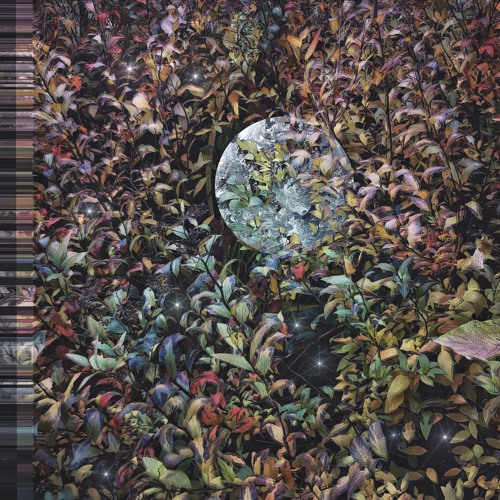 Chillfunk 4