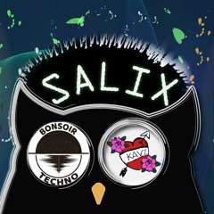 Mix Psyché to HiTech @ Salix Party (Kavception Vs Bonsoir Techno) [08 - 06 - 2019]