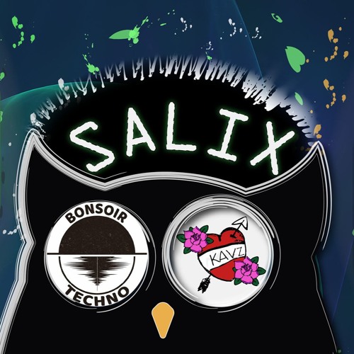 Mix Psyché to HiTech @ Salix Party (Kavception Vs Bonsoir Techno) [08 - 06 - 2019]