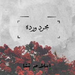 إسلام شتا ـ مجرد ورده