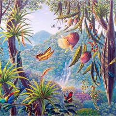 STEPPIN IN 2 THE SUN