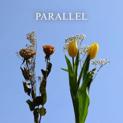 Tiderays - Parallel - Eq030719 96k 24b