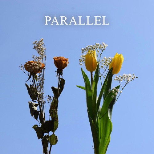 Tiderays - Parallel - Eq030719 96k 24b