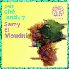 Samy El Moudni - Perchéland #7
