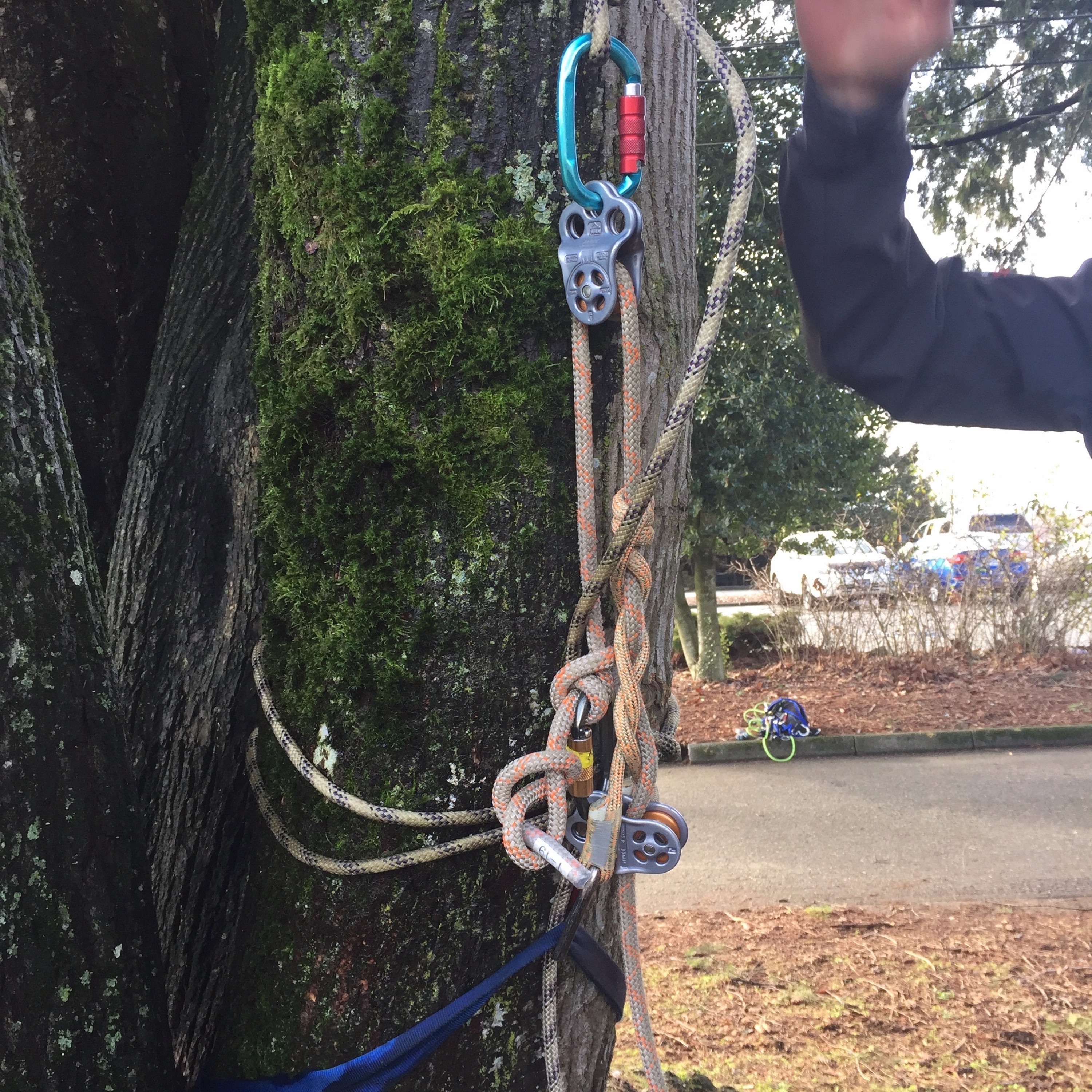 PodCast 24 - The Arb World And How To Rescue Arborists