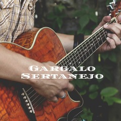 Lançamento Sertanejo 2019 - Gargalo Sertanejo