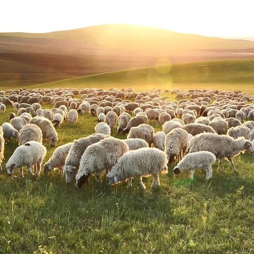 Stream 申命記第11 12章 在基利心山上7 10 2019 By Ernest Chan Listen Online For Free On Soundcloud