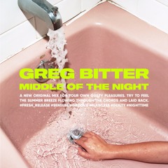 Greg Bitter - Middle Of The Night (Original Mix)