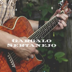 Especial Zé Neto e Cristiano - Gusttavo Lima - Henrique e Juliano - Marília Mendonça 2018