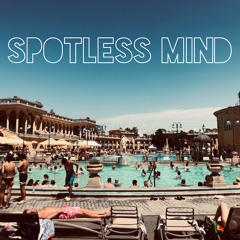 Spotless Mind